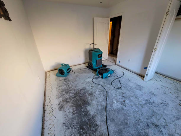 Best Flooded house restoration  in Burbank, CA
