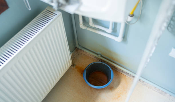 Best Flood damage cleanup  in Burbank, CA