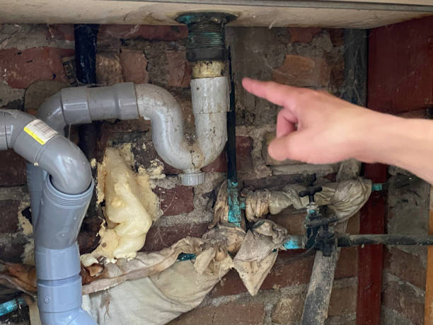 Best Local water damage restoration  in Burbank, CA